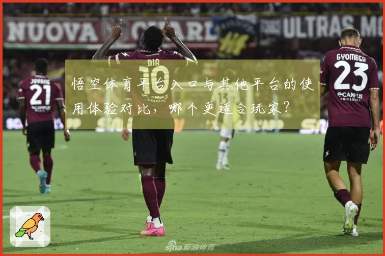 悟空体育平台入口与其他平台的使用体验对比，哪个更适合玩家？
