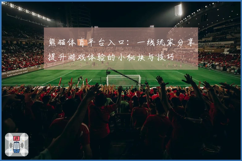 熊猫体育平台入口：一线玩家分享提升游戏体验的小秘诀与技巧