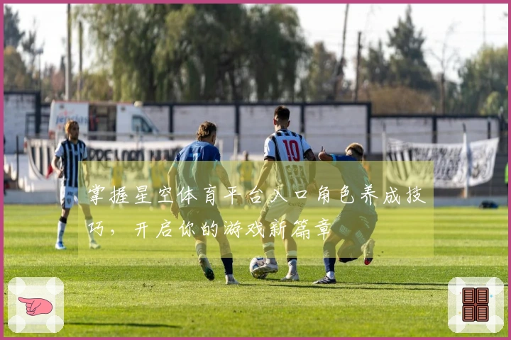 掌握星空体育平台入口角色养成技巧，开启你的游戏新篇章