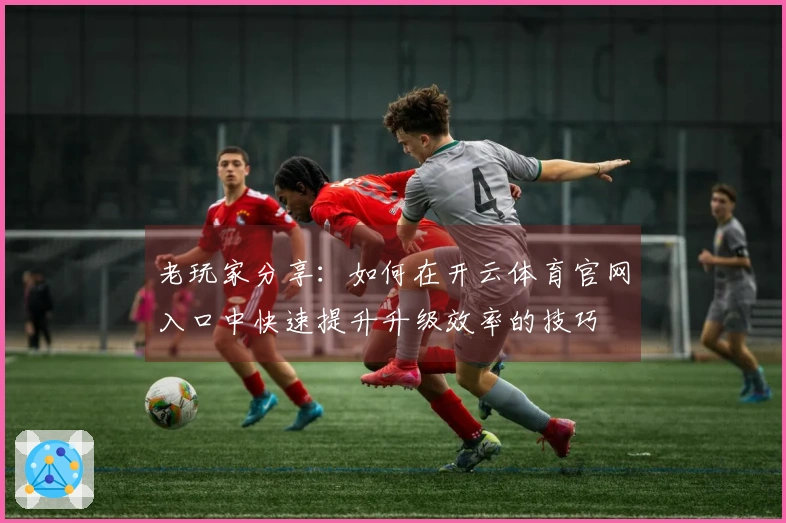 老玩家分享：如何在开云体育官网入口中快速提升升级效率的技巧