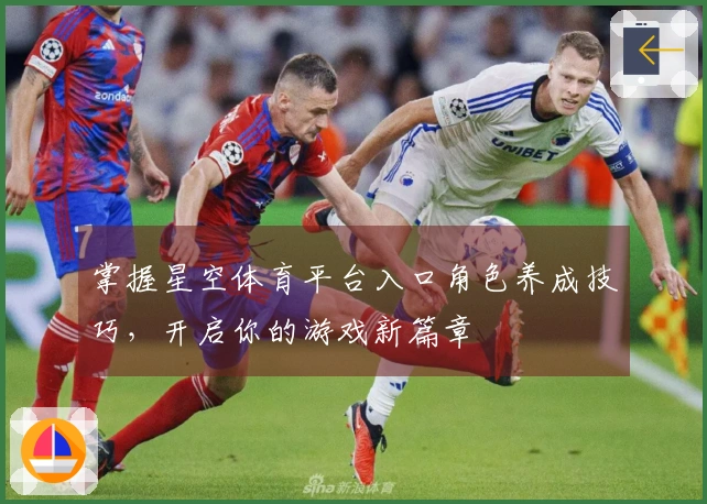 掌握星空体育平台入口角色养成技巧，开启你的游戏新篇章