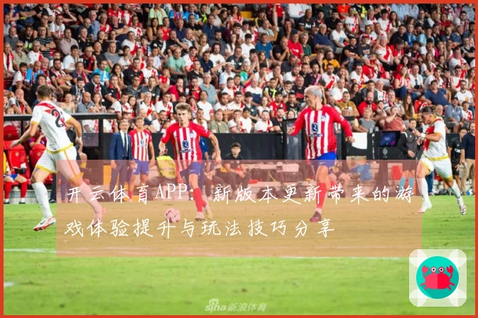 开云体育APP：新版本更新带来的游戏体验提升与玩法技巧分享